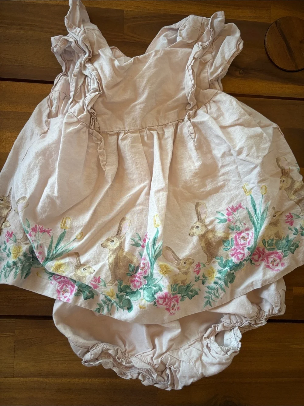 Janie and Jack Pink Ruffle Bunny Dress and Coordinating Pieces